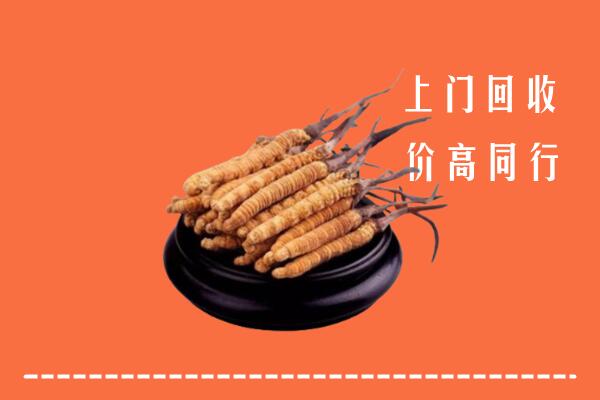 高价求购：绥阳县回收散虫草
