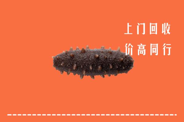 高价求购：绥阳县回收海参