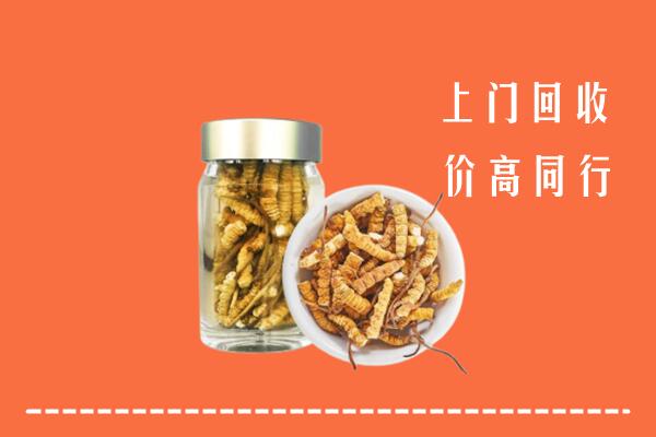 绥阳县回收冬虫夏草