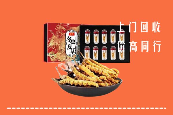 绥阳县回收虫草